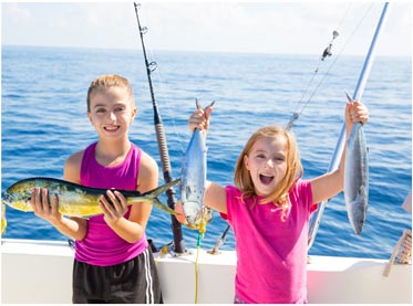 DDOS在线攻击平台